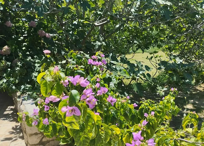 Apartmani Gero